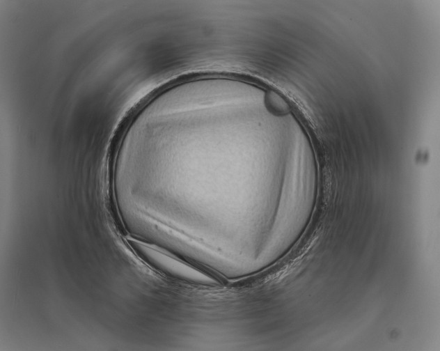 X0000095110982200712301732