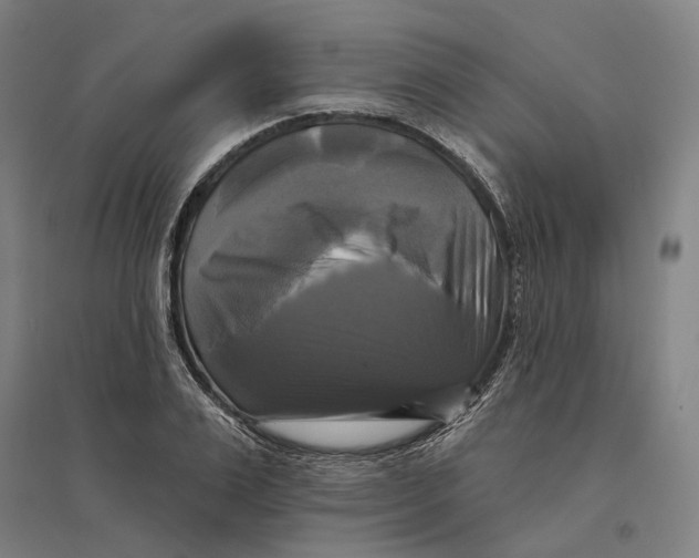 X0000095110983200712301732