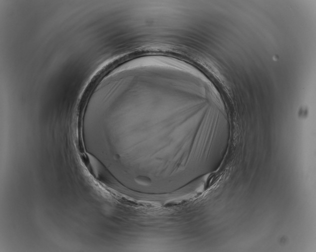 X0000095110984200712301732