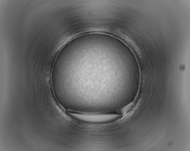 X0000095110985200712301732