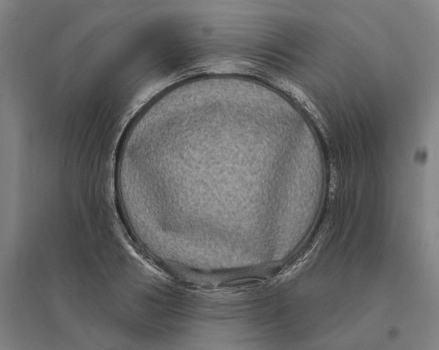 X0000095110986200712301732