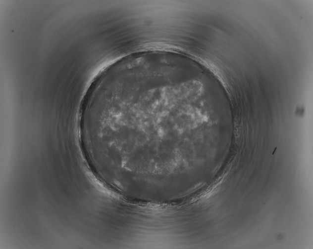 X0000095110987200712301732