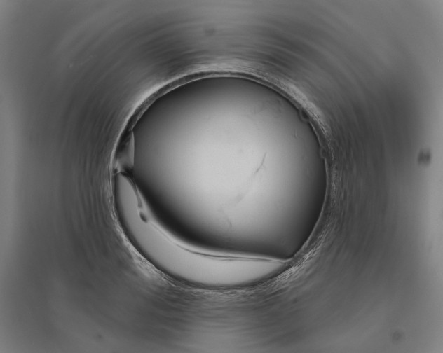 X0000095110988200712301732