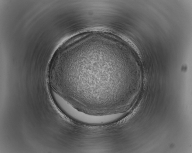 X0000095110989200712301732