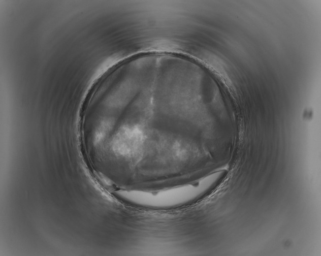 X0000095110990200712301732