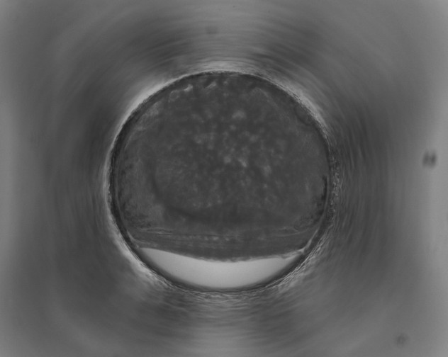 X0000095110991200712301732