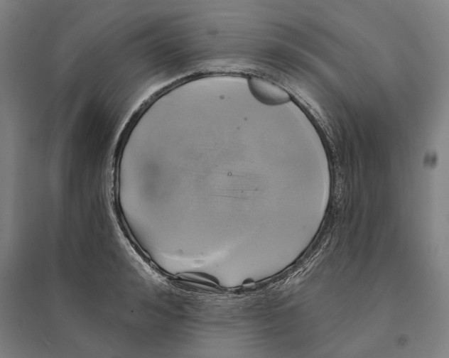 X0000095110992200712301732