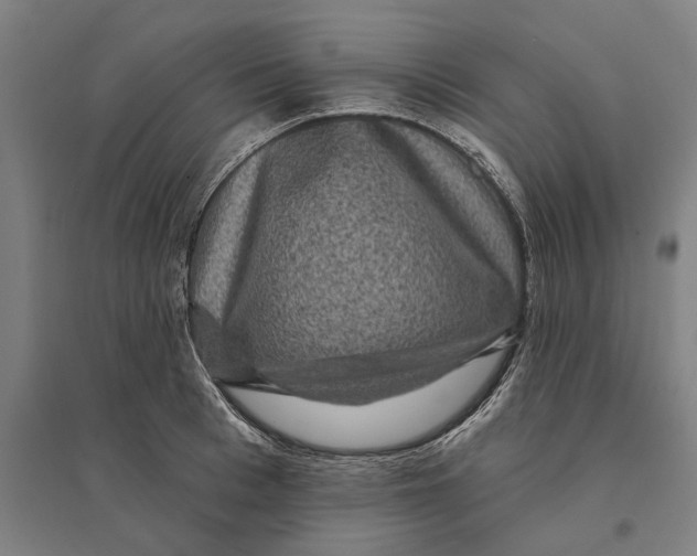 X0000095110993200712301732