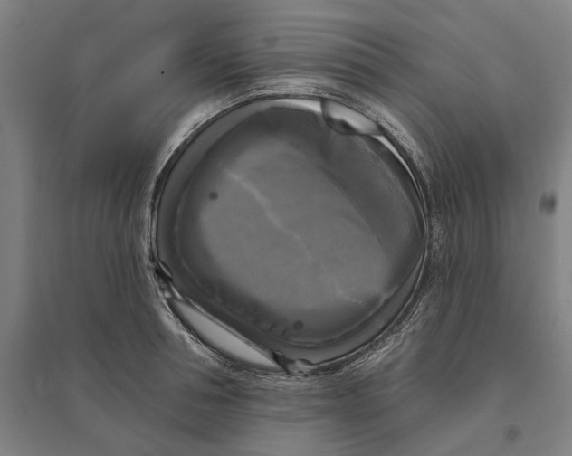 X0000095110994200712301732