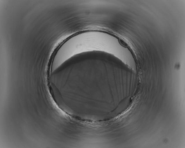 X0000095110995200712301732