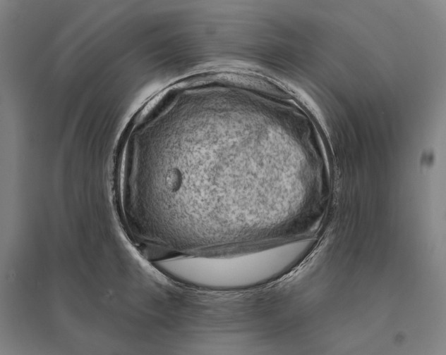 X0000095110997200712301732