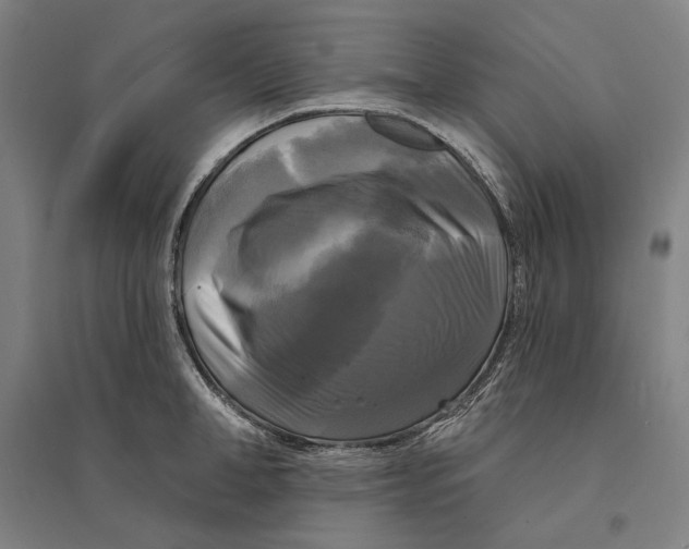 X0000095110998200712301732