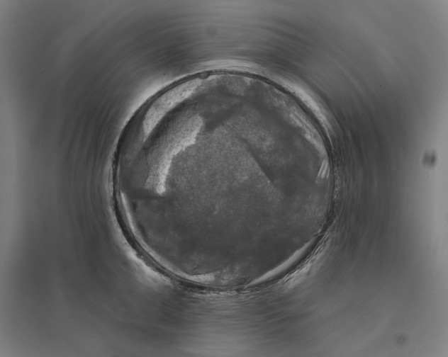 X0000095110999200712301732