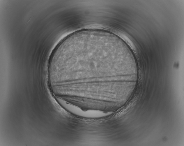 X0000095111000200712301732