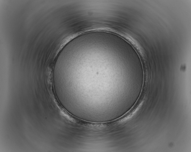 X0000095111001200712301732