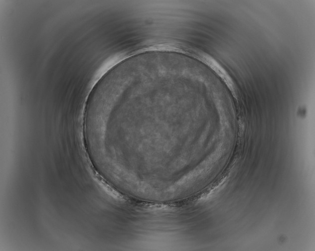 X0000095111002200712301732