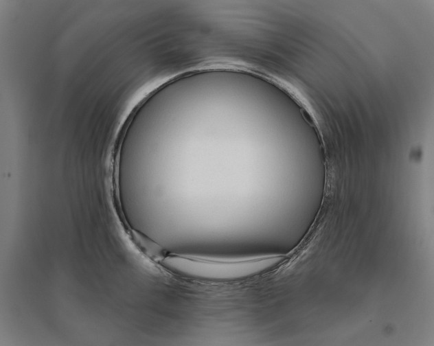 X0000095111003200712301731