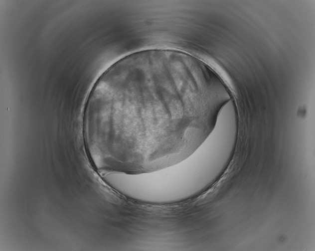 X0000095111004200712301731