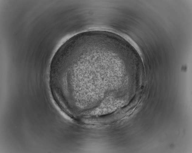 X0000095111005200712301731