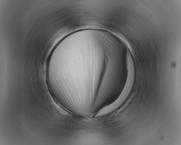 X0000095111006200712301731