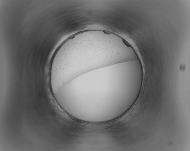 X0000095111008200712301731