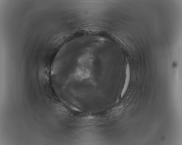 X0000095111010200712301731