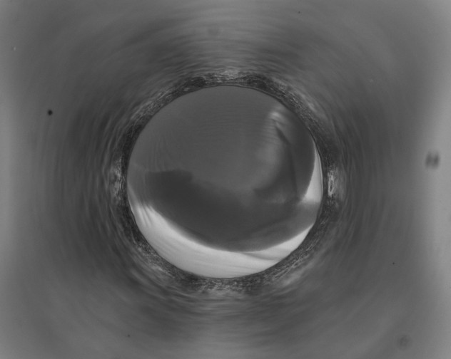 X0000095111011200712301731