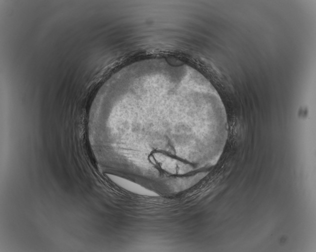 X0000095111012200712301731