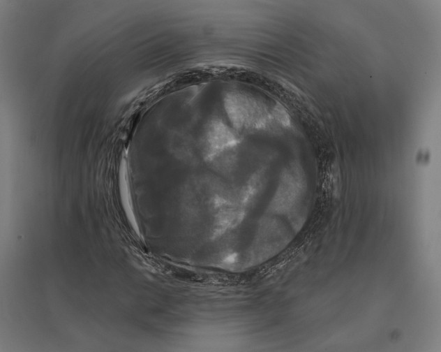 X0000095111014200712301731