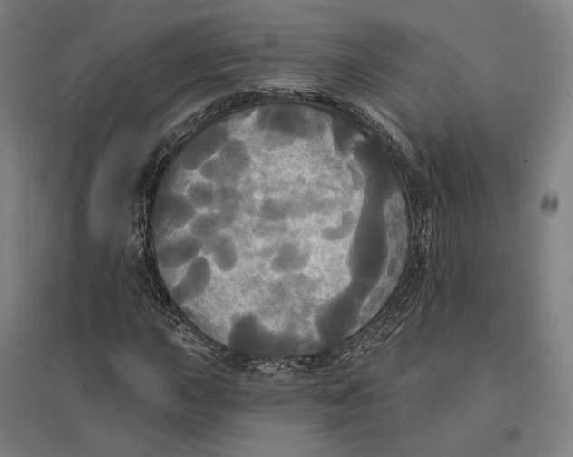 X0000095111015200712301731