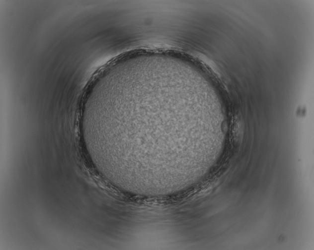 X0000095111016200712301731