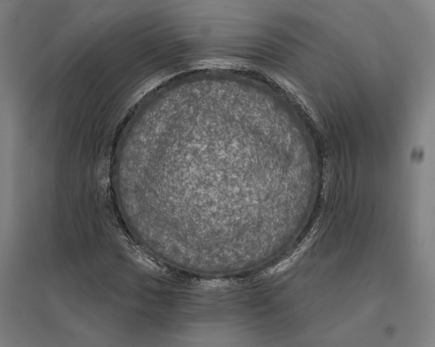 X0000095111017200712301731