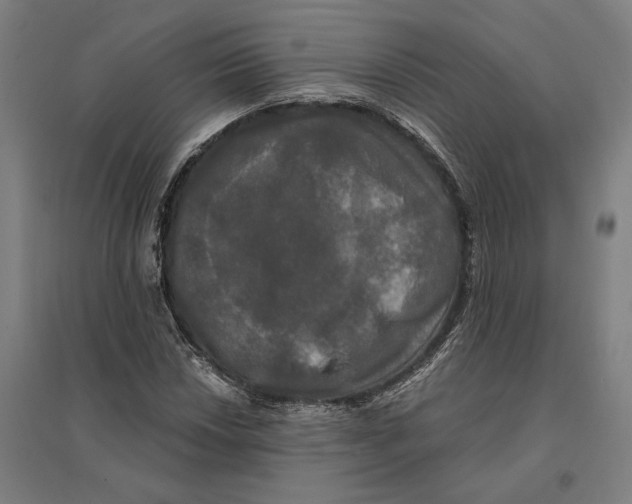 X0000095111018200712301731