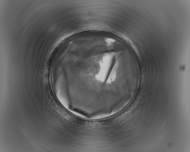 X0000095111019200712301731