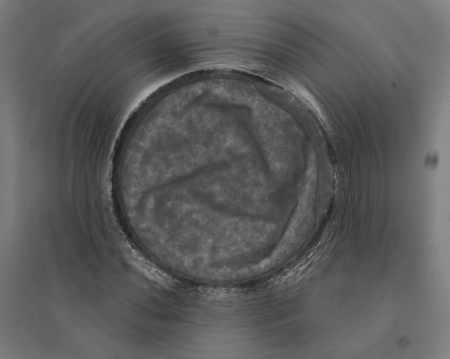 X0000095111020200712301731