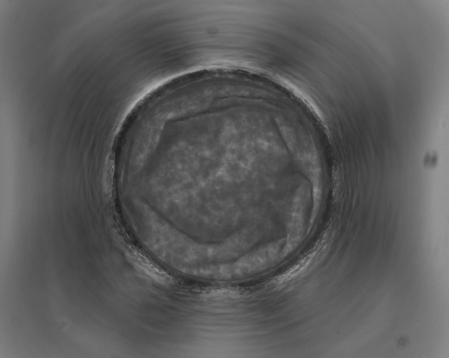 X0000095111021200712301731