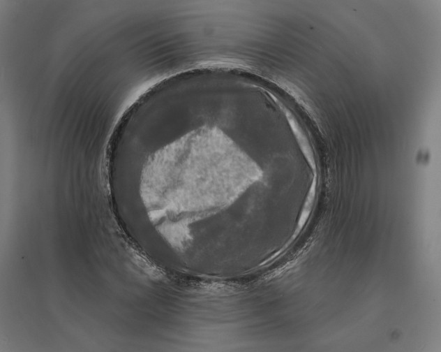 X0000095111022200712301731