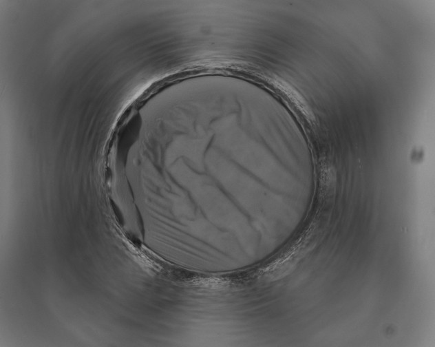 X0000095111023200712301731