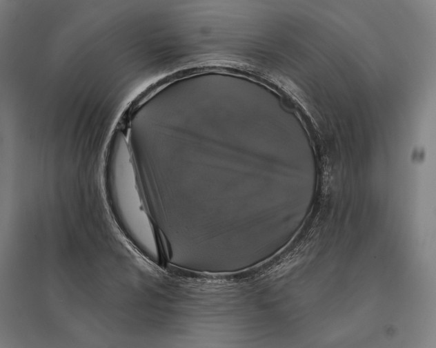 X0000095111024200712301731