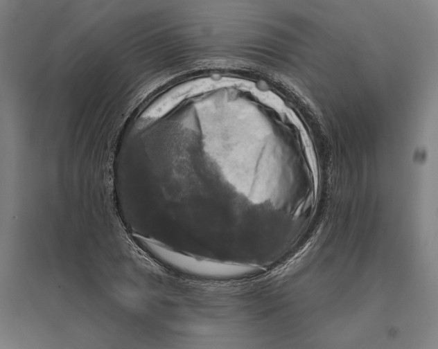 X0000095111025200712301731