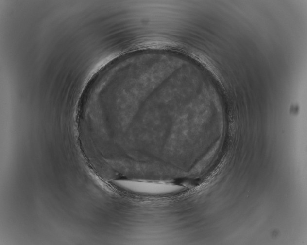 X0000095111026200712301731