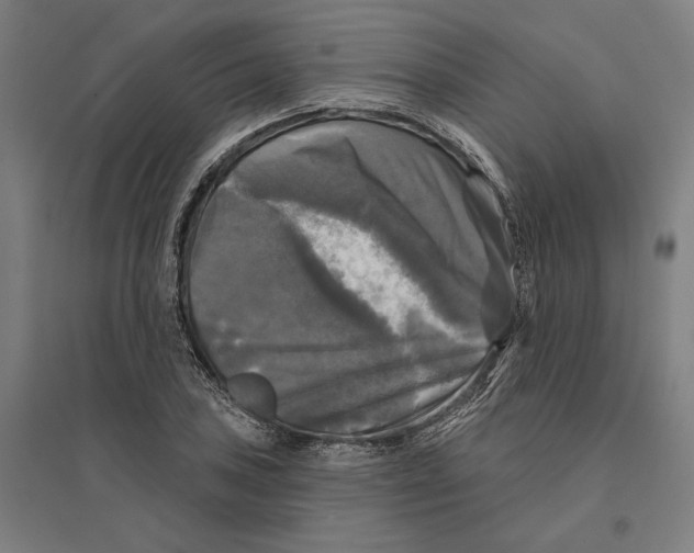 X0000095111027200712301731