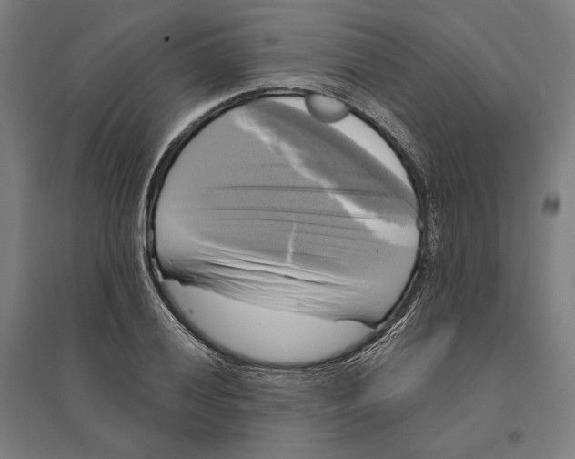 X0000095111028200712301731