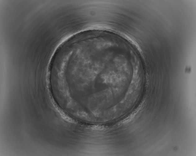 X0000095111029200712301731