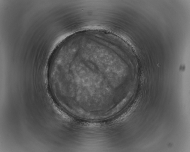 X0000095111030200712301731