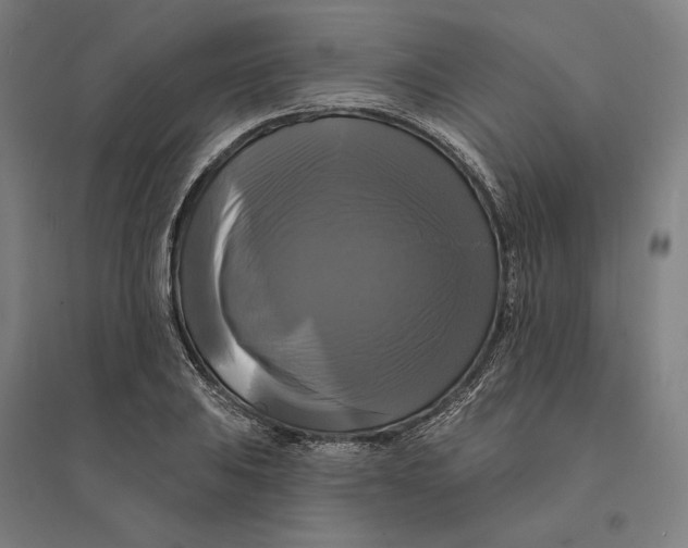 X0000095111031200712301731