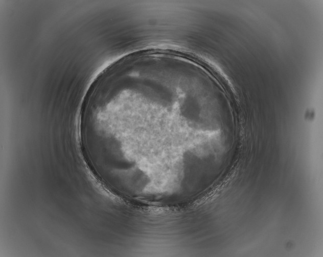 X0000095111032200712301731