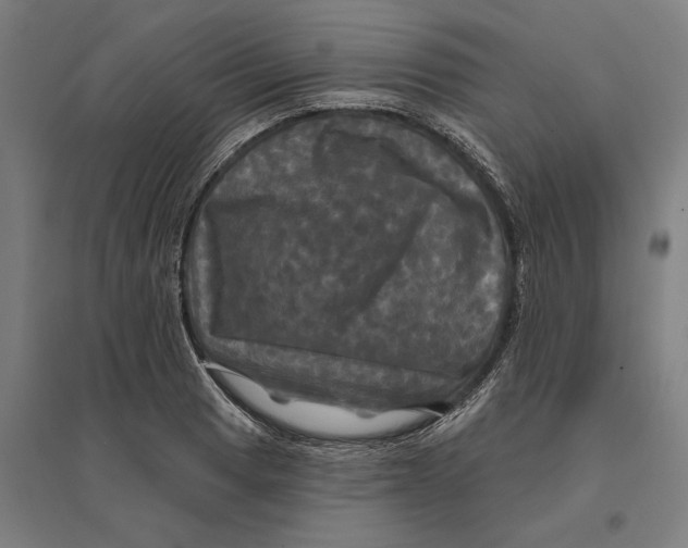 X0000095111033200712301731