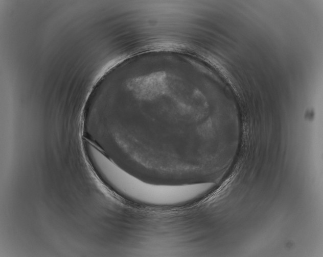 X0000095111034200712301731