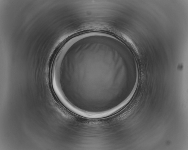 X0000095111035200712301731